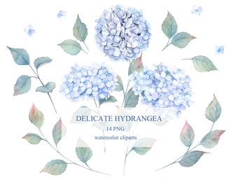 Delicate Watercolor Hydrangea Flowers Clipart. Floral Collection
