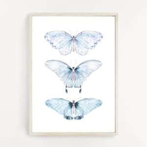 Butterfly Wall Art Butterfly Poster Watercolor Butterfly Print  Butterfly Wall Decor Butterfly Print Butterfly Printable Instant Download