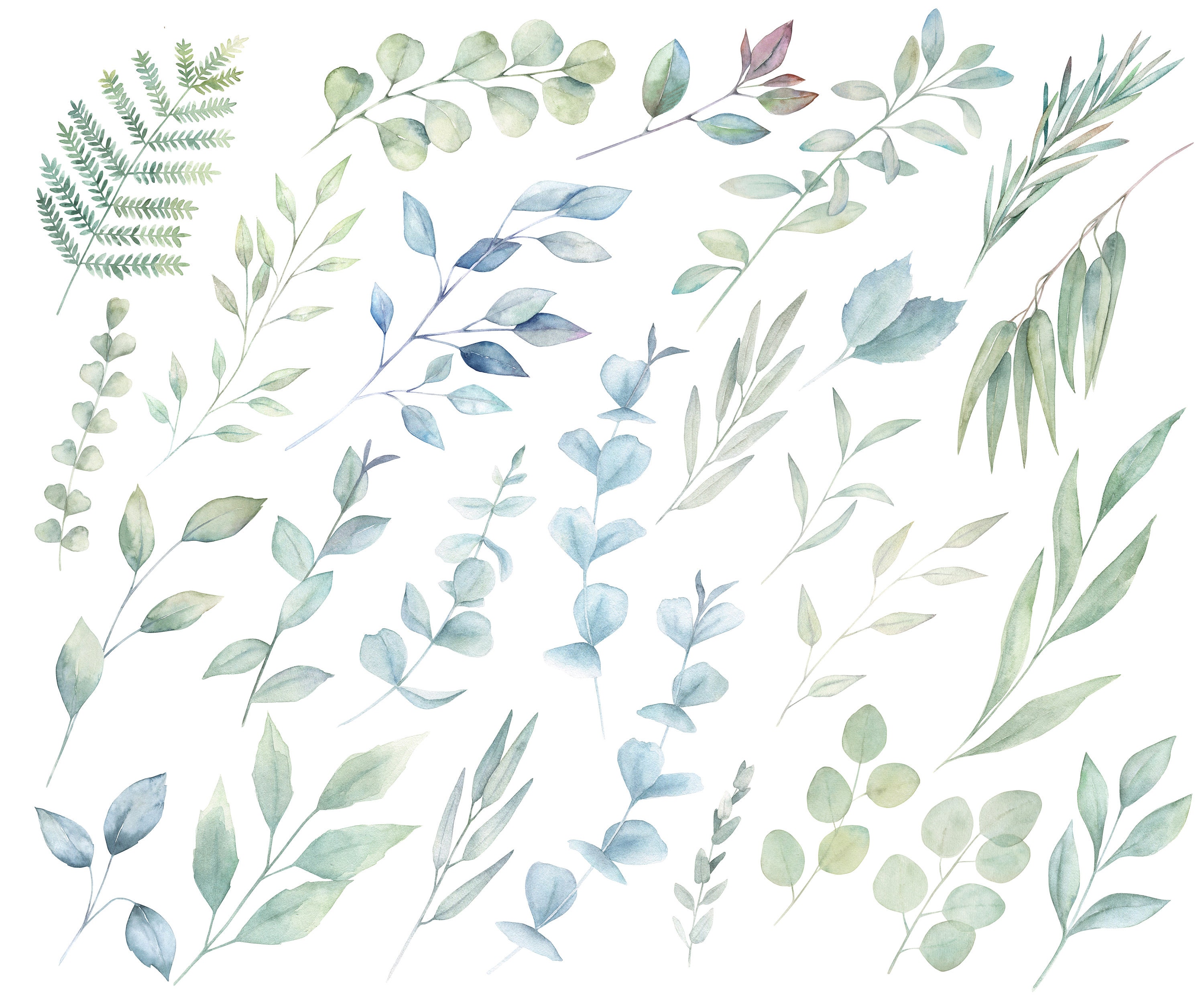 Green Branches. 26 separate floral elements. Watercolor | Etsy