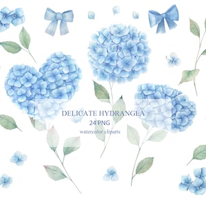 Delicate Watercolor Hydrangea Flowers Clipart. Floral Collection2, PNG