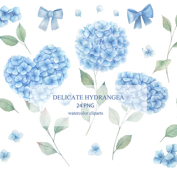 Delicate Watercolor Hydrangea Flowers Clipart. Floral Collection2, PNG