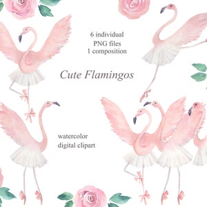 Aquarel Flamingo's dansend ballet en rozen clipart collectie, babyshower, kinderen, wanddecoratie, meisjes, PNG