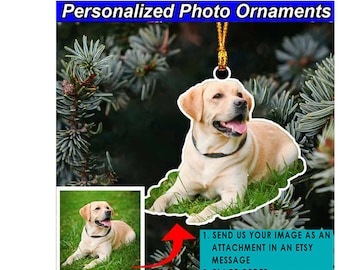 Pet Dog Cat Gifts Personalized Ornament, Custom Photo Pets Dogs Cats Rats Owners, Gift For Pet Rats Lovers, Acrylic Ornaments