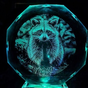 6&quot; Crystal light up laser engraved with raccoon image
