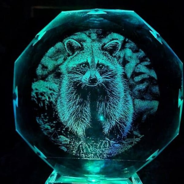 6" Crystal light up laser engraved with raccoon image