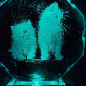 6&quot; crystal glass light up LED laser engraved with kittens image