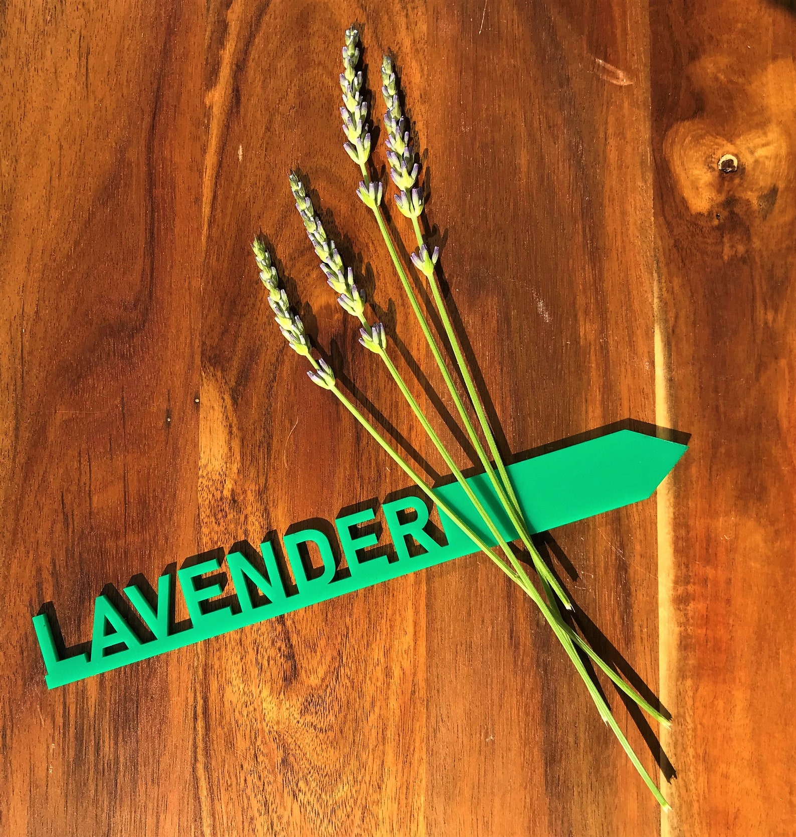 Plant Stakes Acrylic Garden Markers Plant Pot Herb Vegetable Etsy