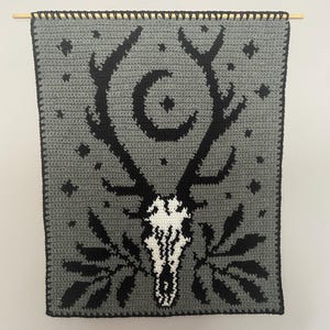 Wall Art. Skull Crocheted Tapestry