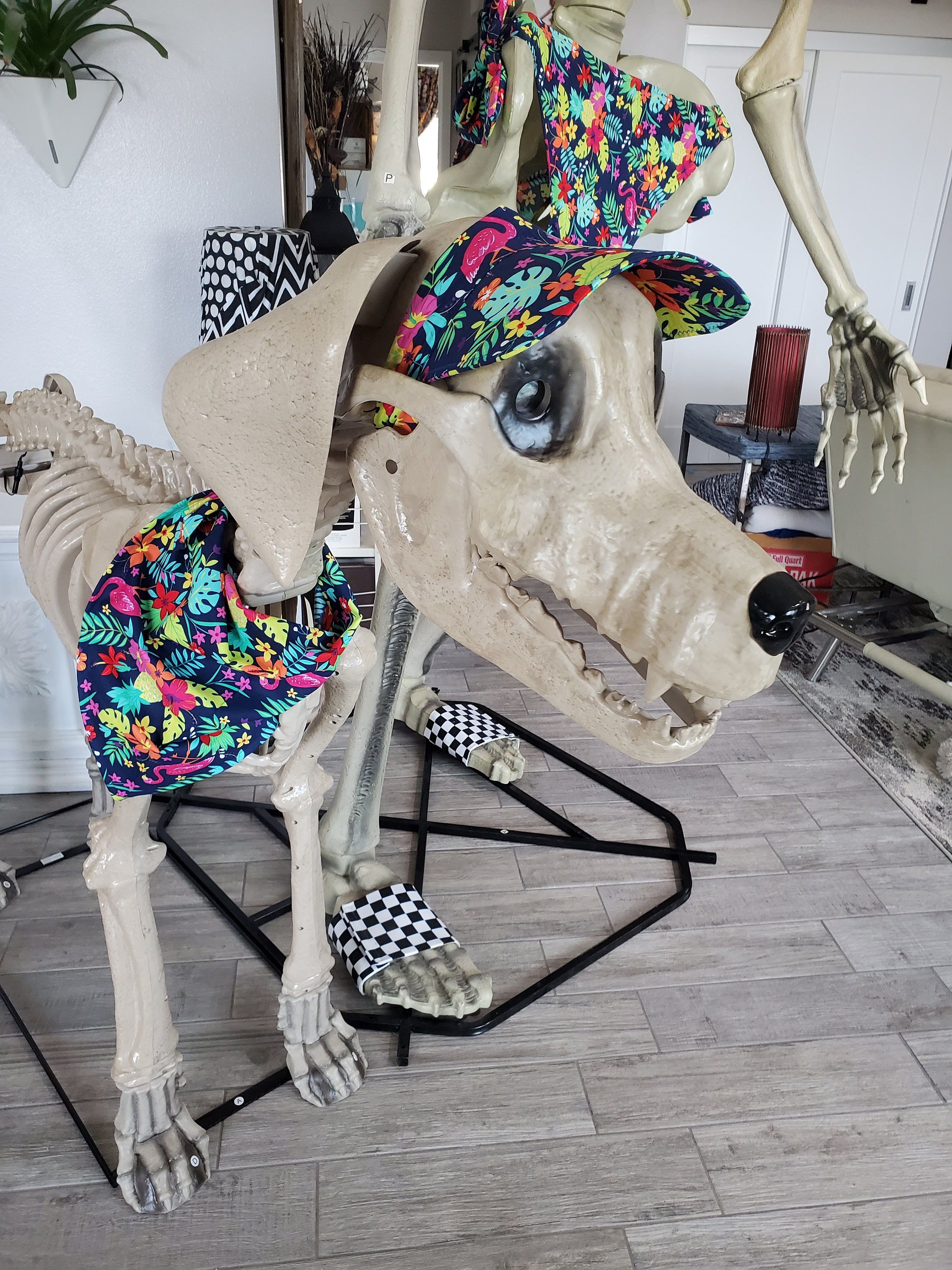 7 Ft Skelton Dog Accessories(novelty ITEMS) Skelton Not Included