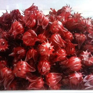 True Roselle - Jamaican Sorrel - Florida Cranberry - 25 seeds