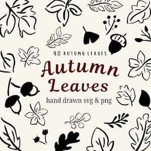 Può includere: Uno sfondo color crema presenta illustrazioni nere disegnate a mano di foglie autunnali, ghiande e bacche. Il testo recita "40 Autumn Leaves" e "Autumn Leaves" in uno script bordeaux, con "hand drawn svg & png" sotto.