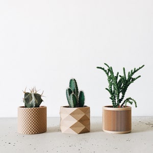 Set mit 3 geometrischen Mini-Pflanzgefäßen aus Holz – originelles Geschenk für sie oder ihn!