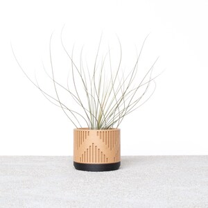Peut inclure: Une petite plante aérienne dans un pot en bois avec un motif géométrique. Le pot est brun et a une base noire.