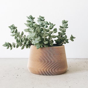 Cache-pot - SAVANNE
