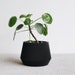 see more listings in the - Black Planter section