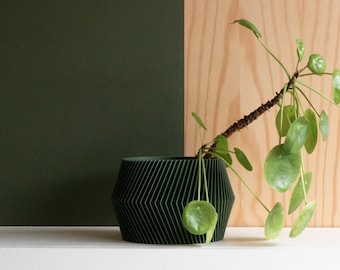 Green Indoor wood planter - DISSIPAT