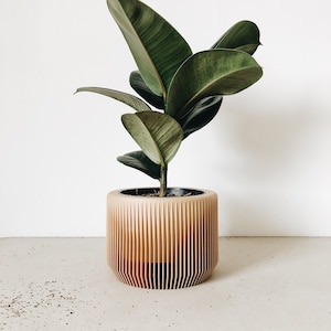 Indoor wood planter - PRAHA perfect planter gift for plant lovers !