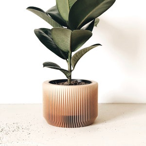 Indoor wood planter PRAHA perfect planter gift for plant lovers image 3