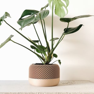 Grand cache-pot design bois APPLE parfait pour plantes vertes Décoration scandinave Cadeau original amoureux des plantes image 5