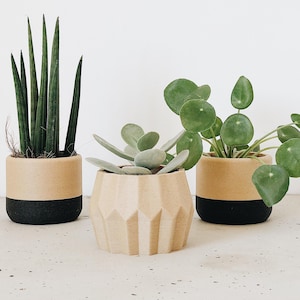 Op de afbeelding: Drie potplanten in verschillende potvormen. De planten zijn een slangplant, een geldboom en een succulent. De potten zijn allemaal beige met een zwarte bodem.