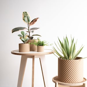 Large Indoor planter - PIKO - wood - for green plant cactus and succulent - Original planter gift