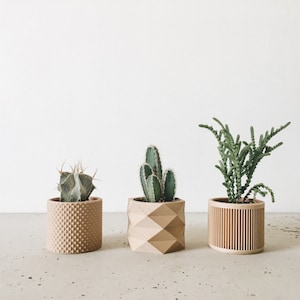 Set of 3 small indoor wooden pots - Original gift for plant lover !