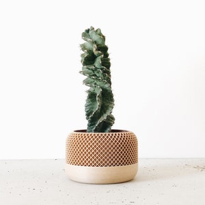 Pflanzgefäß aus Holz mit geometrischem und minimalistischem Design – APFEL – skandinavische Dekoration – originelle Geschenkidee