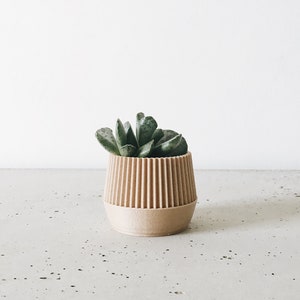 Wood planter perfect for cactus and succulent / Geometric and minimalist design