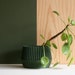 see more listings in the Green wood planter section