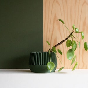 Green Indoor wood planter - KOBE