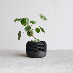 Cache pot bois noir Design géométrique et minimaliste / APPLE / Décoration scandinave image 1