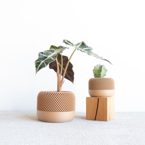 Indoor wood planter - APPLE - Original gift for plant lovers !