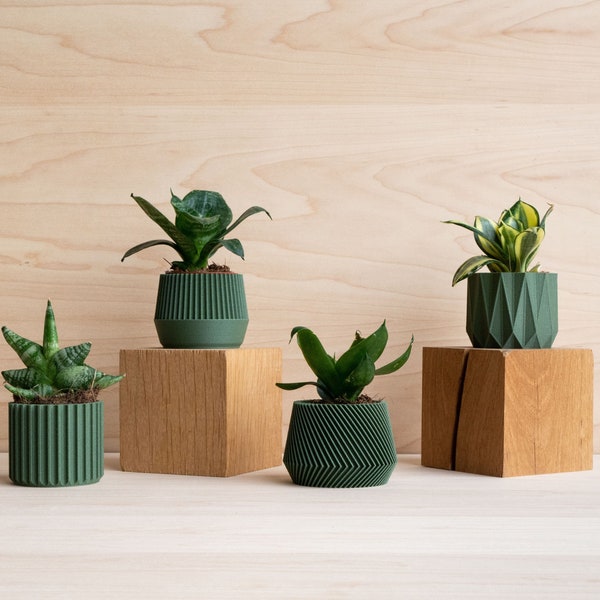Set mit 4 kleinen geometrischen Pflanzgefäßen aus grünem Holz – originelles Geschenk