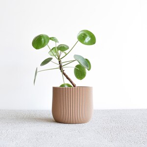 Indoor planter LOTUS