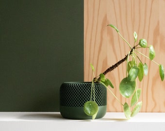 Indoor wood planter - APPLE - Green