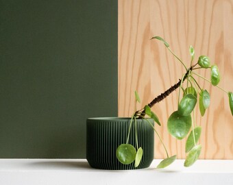 Green Indoor wood planter - PRAHA