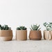 see more listings in the • Set of Planters section