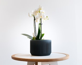 Blue Indoor wood planter - PRAHA perfect planter gift for plant lovers !