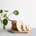 see more listings in the - Natural Planter section