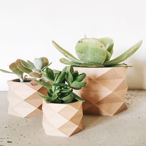 Geometric Minimalist planter Wood planter Low poly planter, for cactus and succulent ready Original planter gift for her him image 2