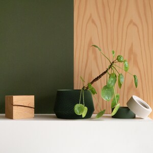 Green Indoor planter OSLO Original planter gift image 3