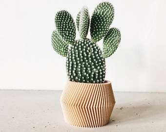 Geometric indoor planter printed in Wood - DISSIPAT