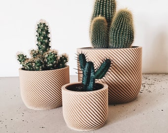 Pot / Cache-pot en Bois Design Minimaliste pour plantes grasses et cactus / CORDE