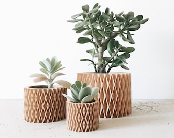 Indoor Planter perfect for succulents or cacti - CROIX