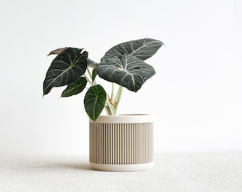 White Indoor planter - JAPAN - Original planter gift for plant lovers !