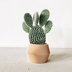 Geometric indoor planter printed in Wood - DISSIPAT