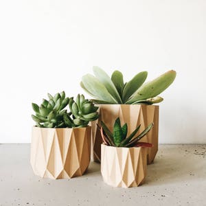 Fioriera geometrica low poly in legno per piante grasse e cactus - ORIGAMI