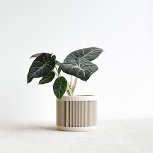 White Indoor planter - JAPAN - Original planter gift for plant lovers !