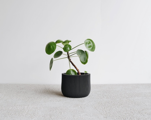 LOTUS-Pflanztopf - Etsy Schweiz