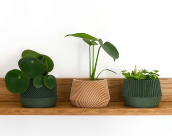 Set of 3 Modern Planters – Textured Indoor Plant Pots in Natural Wood and Green – Unique Gift for Plant Lovers – 3.35" Opening